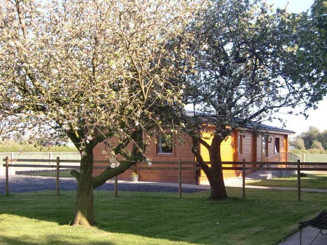 Chestnut Lodge Pilling Bagian luar foto